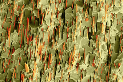 Aligned platelets in an epoxy matrix. Image by Rafael Libanori.